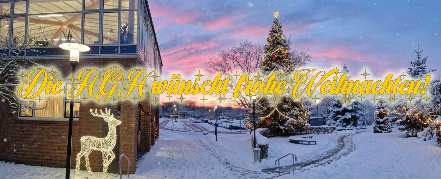 hgh_weihnachten.jpg
